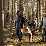 Lapland Hetta Szálloda