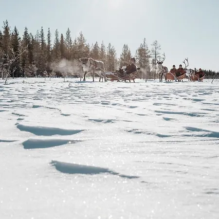 Lapland Hetta فندق 3*