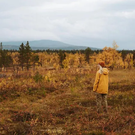 Lapland Hetta فندق