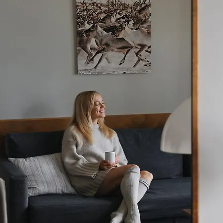 Hotel Lapland Hetta 3*