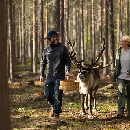 Lapland Hetta ホテル