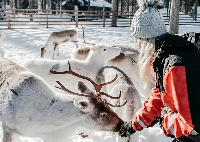 Ξενοδοχείο Lapland Hetta Enontekiö