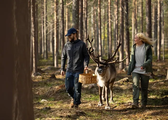 Lapland Hetta Ξενοδοχείο